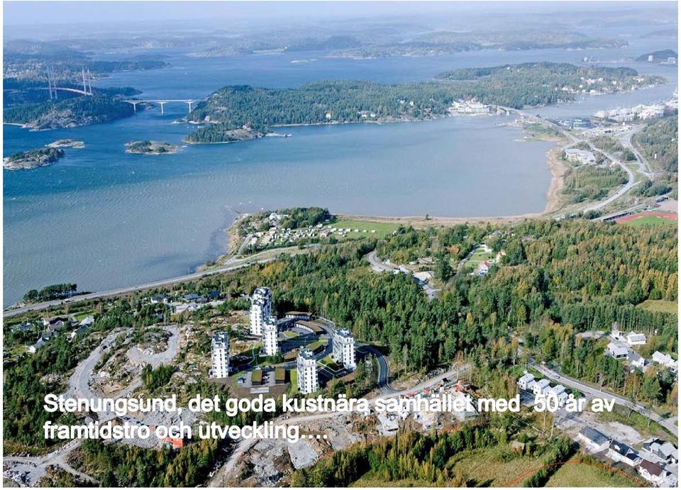 ? Är Petrokemi något att