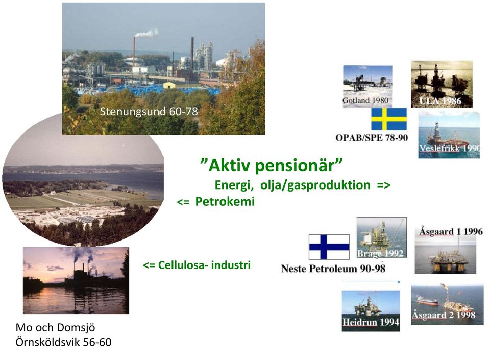 Petrokemi <= Cellulosa- industri