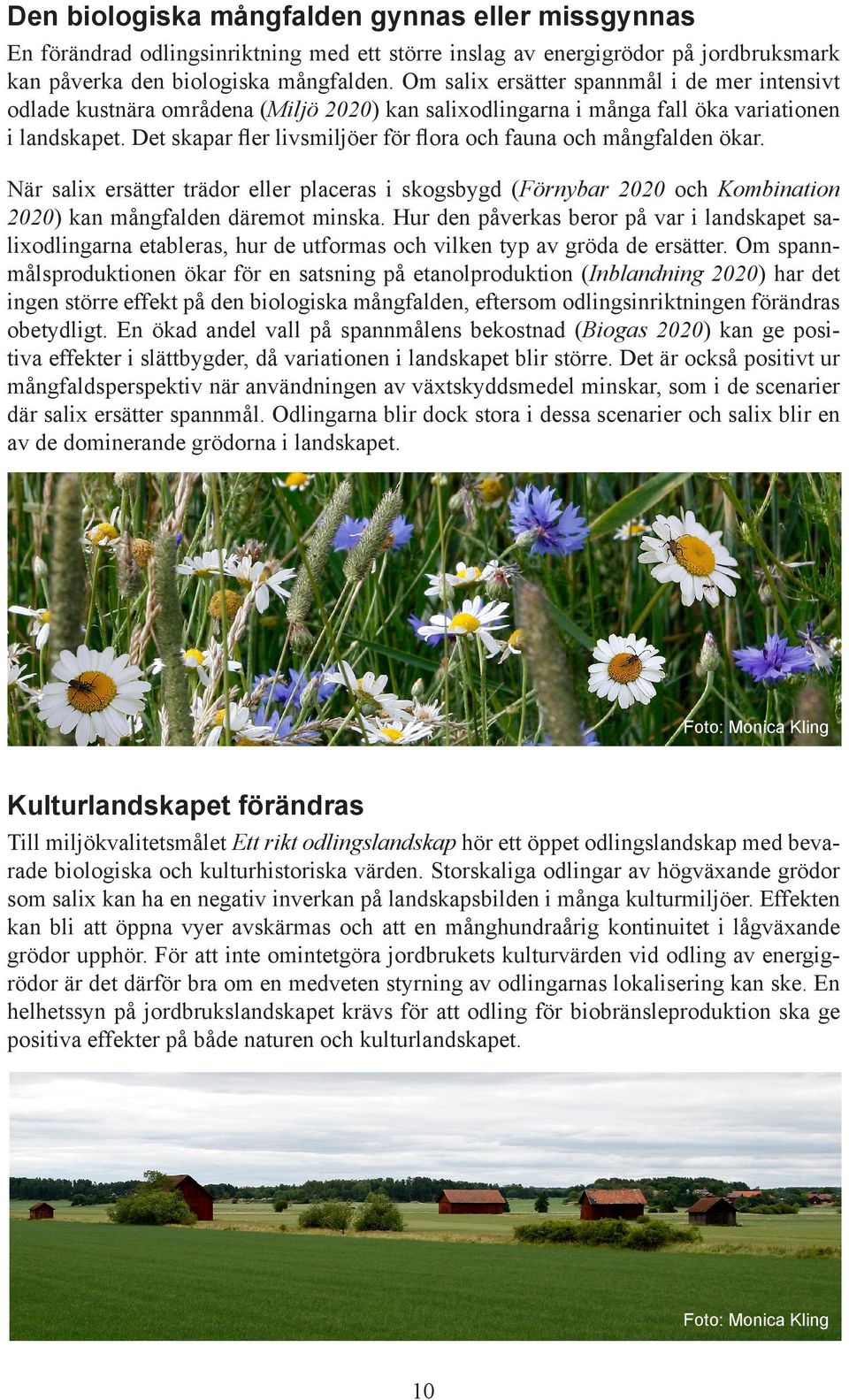 Det skapar fler livsmiljöer för flora och fauna och mångfalden ökar. När salix ersätter trädor eller placeras i skogsbygd (Förnybar och Kombination ) kan mångfalden däremot minska.