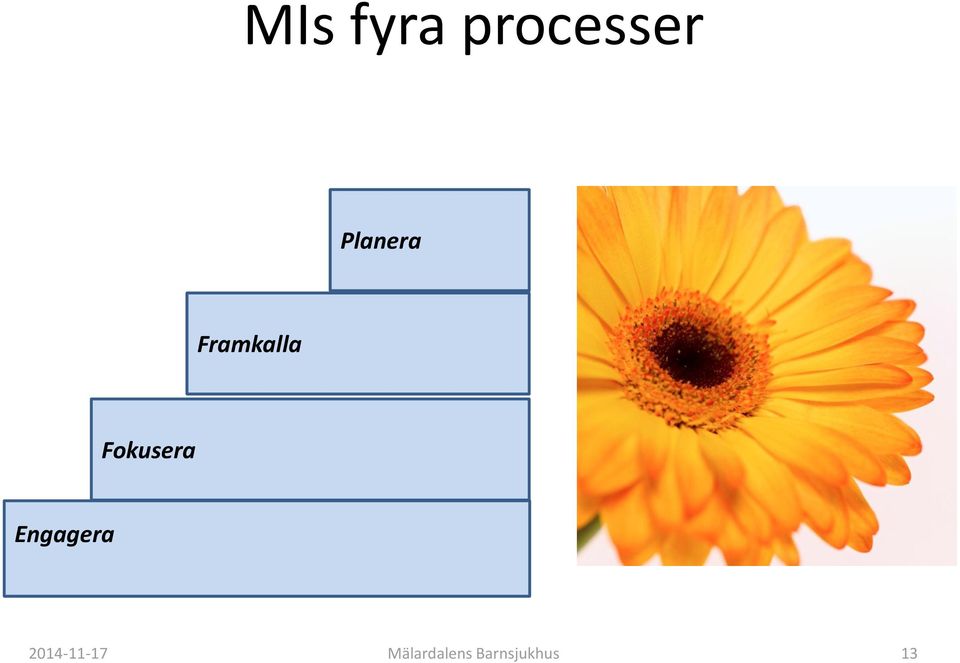 Fokusera Engagera