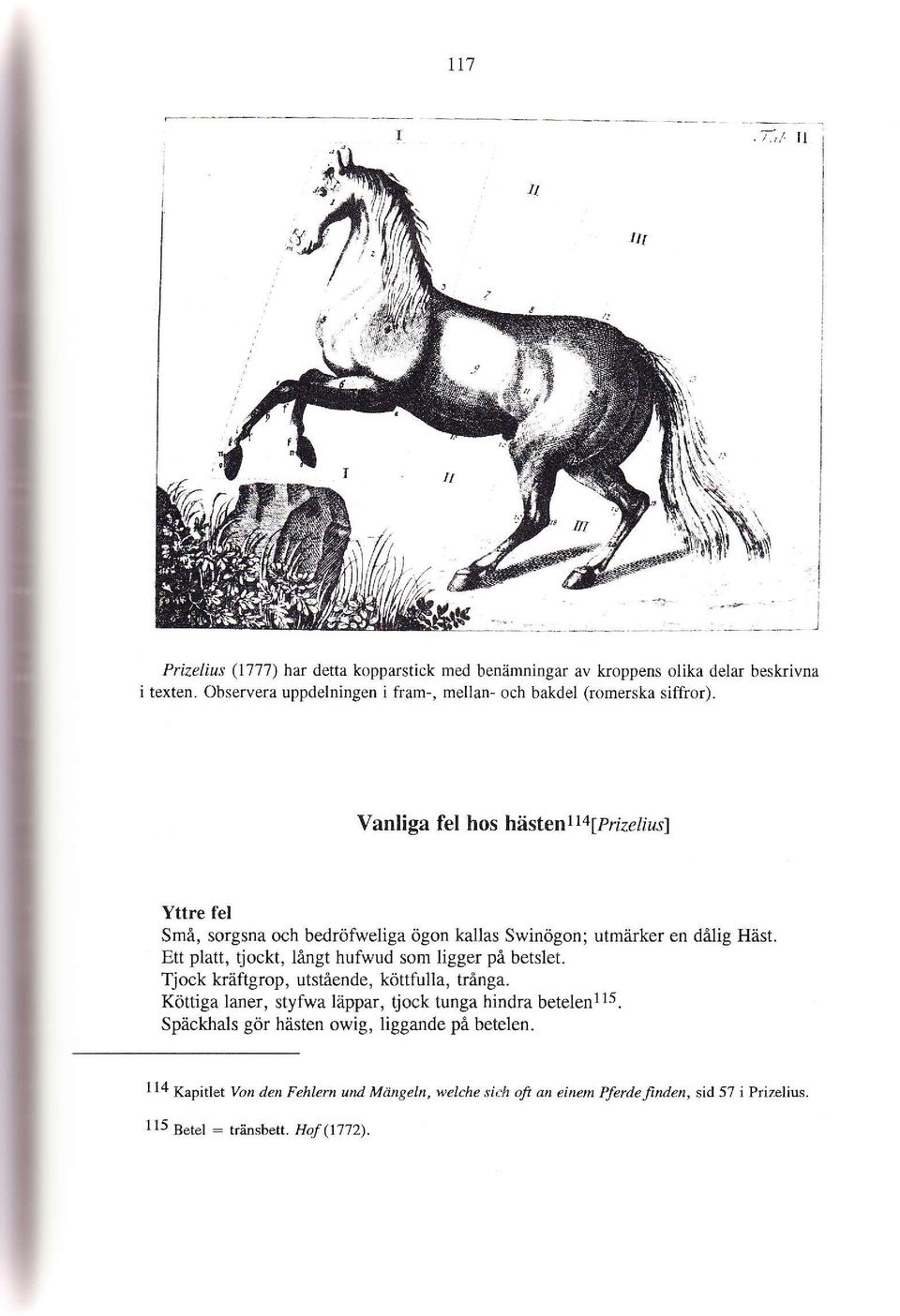 s] Yttre fel Små, sorgsna och bedröfweliga ögon kallas Swinögon; utmiirker en då1ig Häst. Ett platt, tjockt, långt hufwud som ligger på betslet.