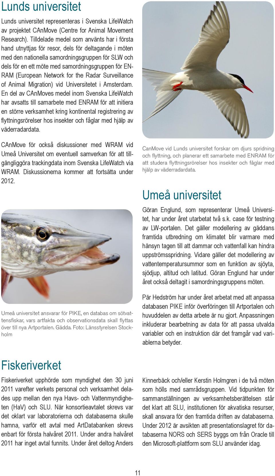 RAM (European Network for the Radar Surveillance of Animal Migration) vid Universitetet i Amsterdam.