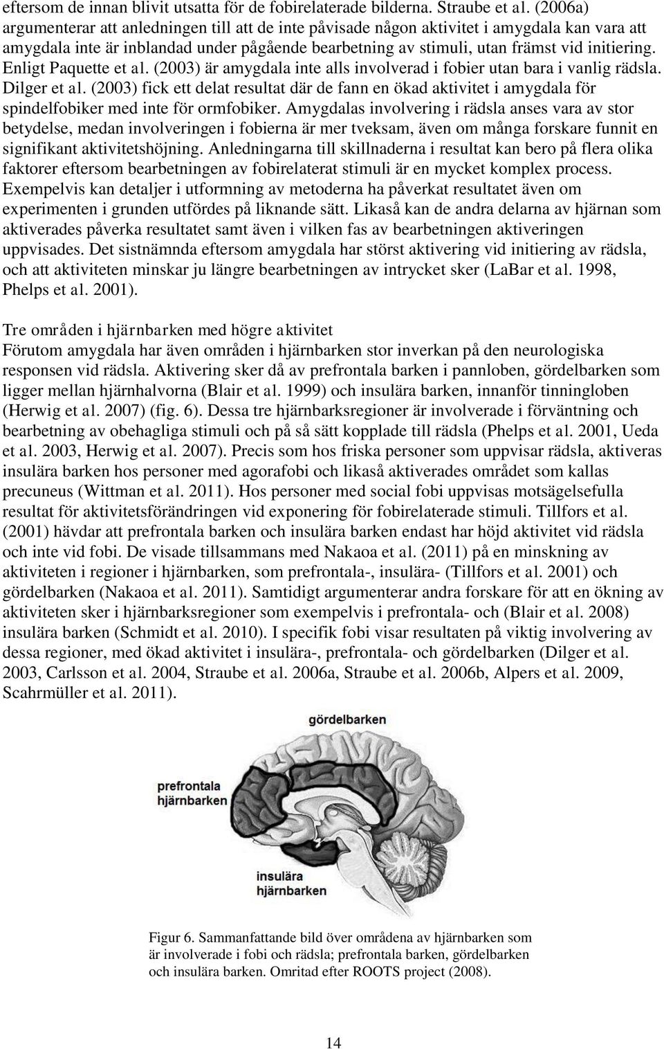 Enligt Paquette et al. (2003) är amygdala inte alls involverad i fobier utan bara i vanlig rädsla. Dilger et al.