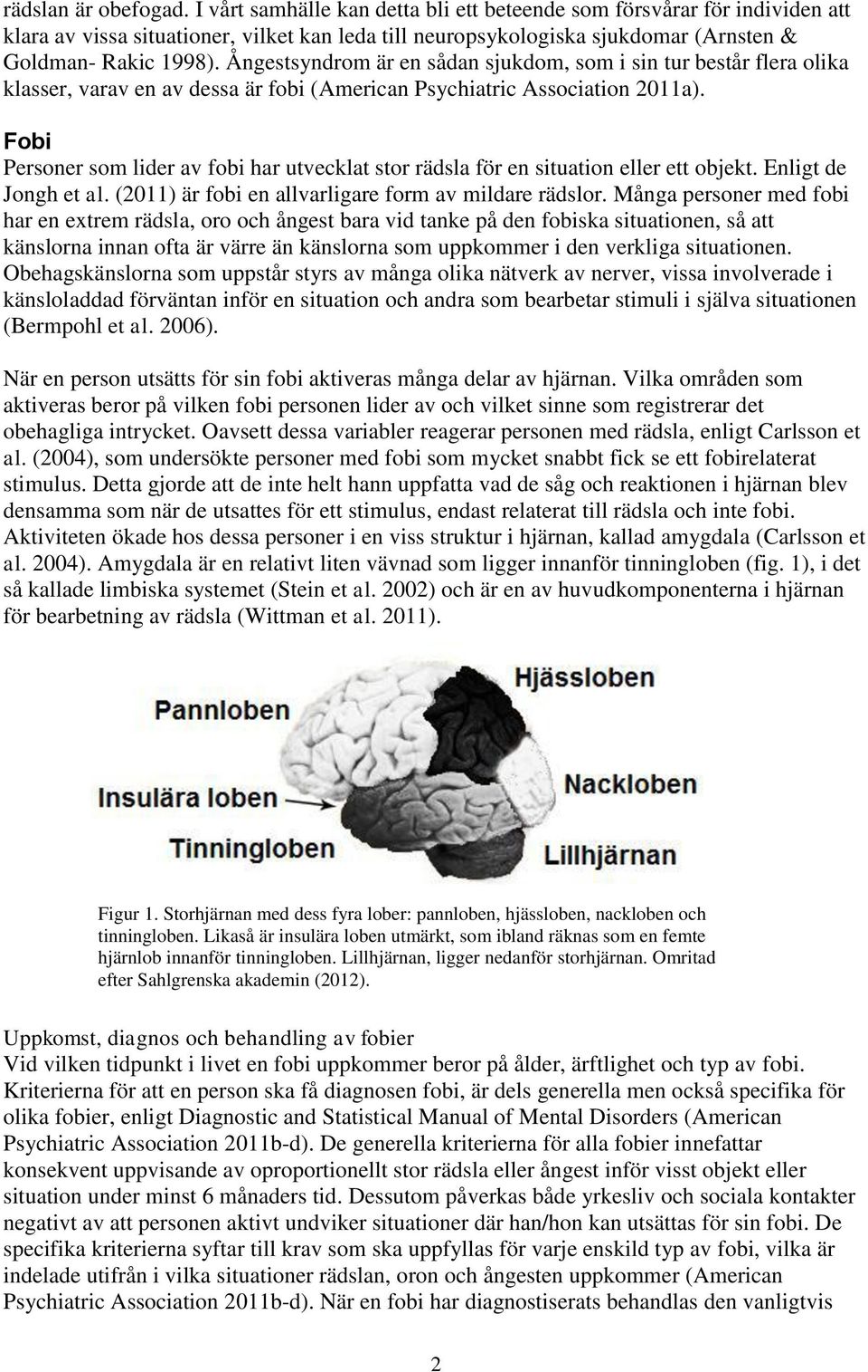 Ångestsyndrom är en sådan sjukdom, som i sin tur består flera olika klasser, varav en av dessa är fobi (American Psychiatric Association 2011a).