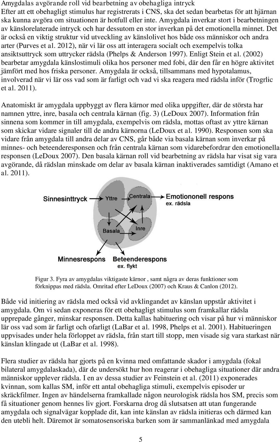 Det är också en viktig struktur vid utveckling av känslolivet hos både oss människor och andra arter (Purves et al.