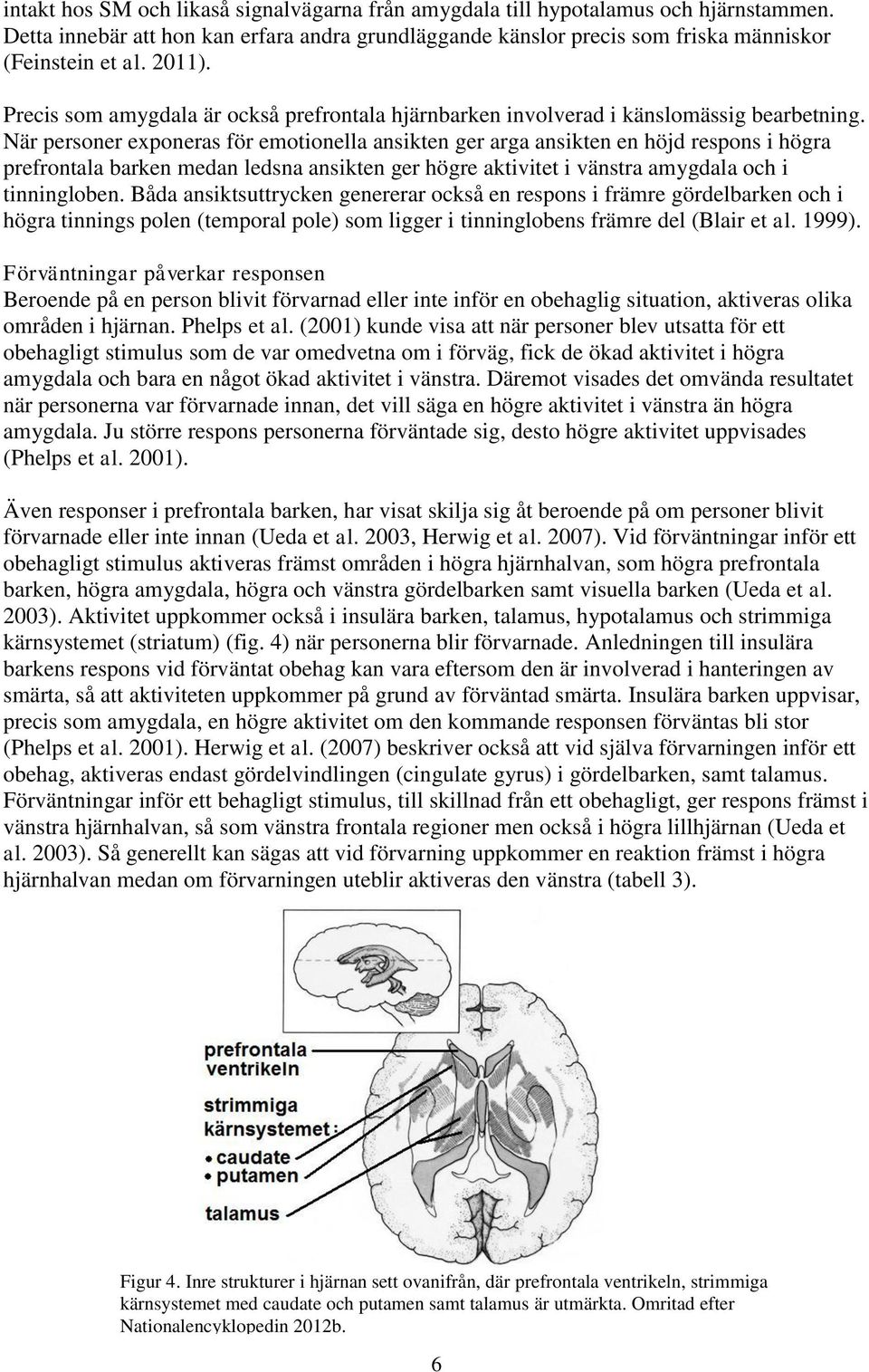 När personer exponeras för emotionella ansikten ger arga ansikten en höjd respons i högra prefrontala barken medan ledsna ansikten ger högre aktivitet i vänstra amygdala och i tinningloben.