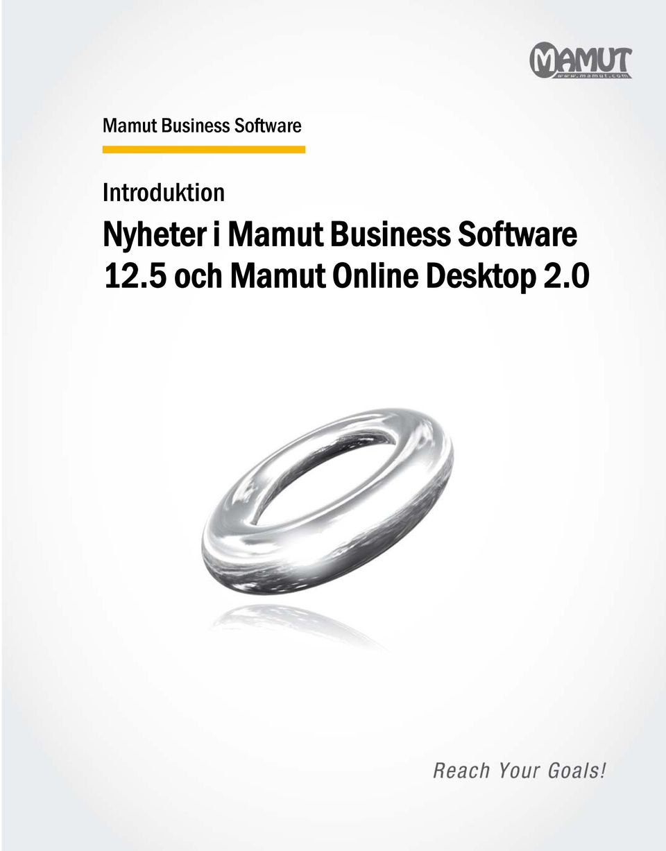 12.5 och Mamut Online