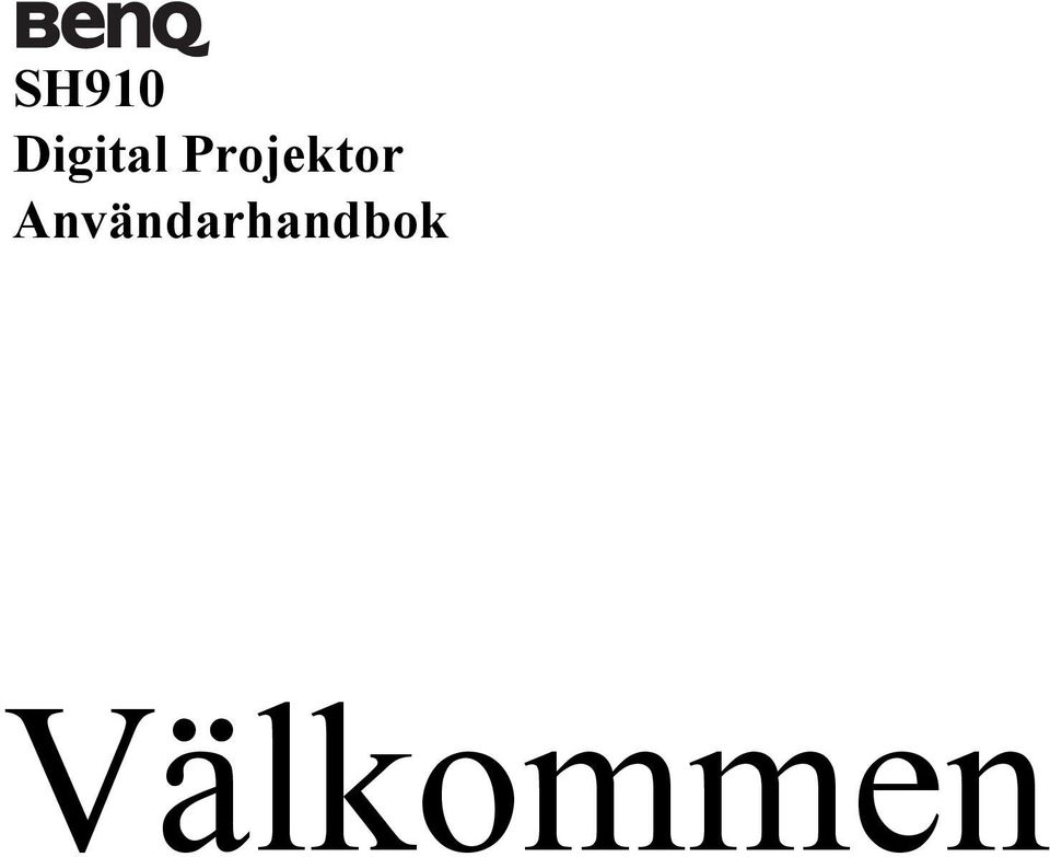 Projektor