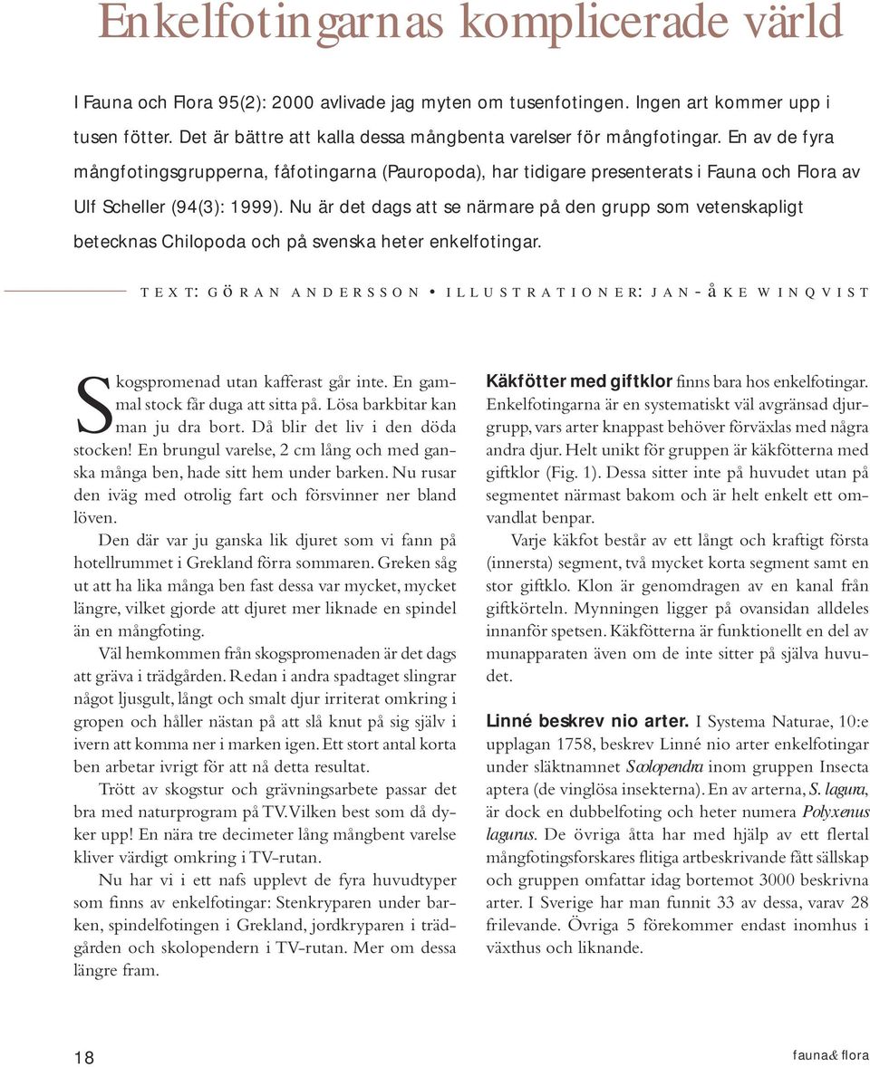 En av de fyra mångfotingsgrupperna, fåfotingarna (Pauropoda), har tidigare presenterats i Fauna och Flora av Ulf Scheller (94(3): 1999).