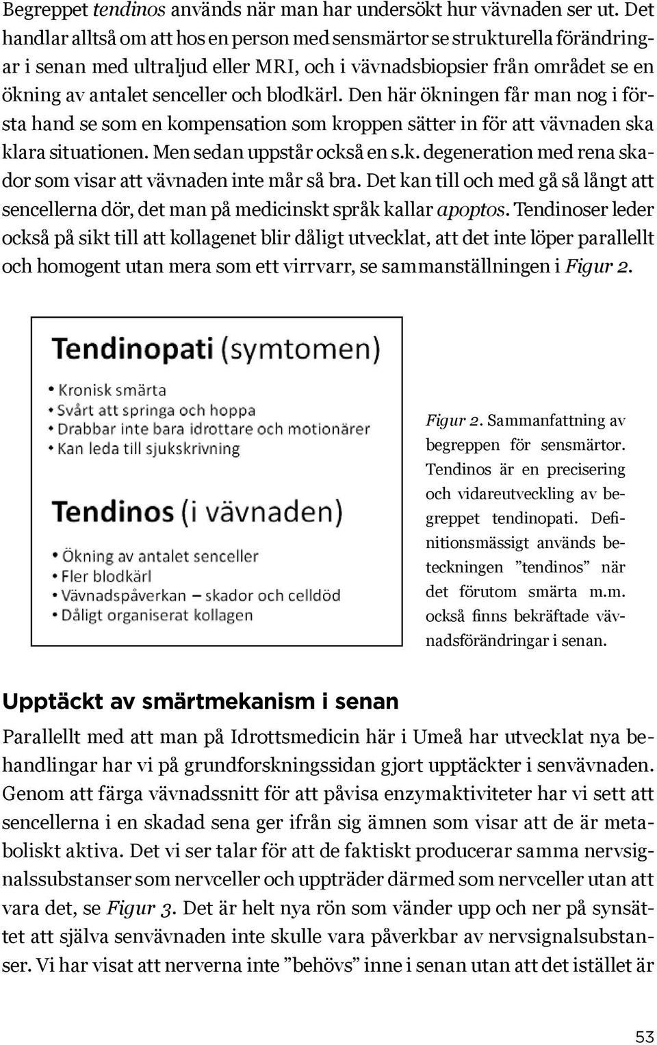 Den här ökningen får man nog i första hand se som en kompensation som kroppen sätter in för att vävnaden ska klara situationen. Men sedan uppstår också en s.k. degeneration med rena skador som visar att vävnaden inte mår så bra.