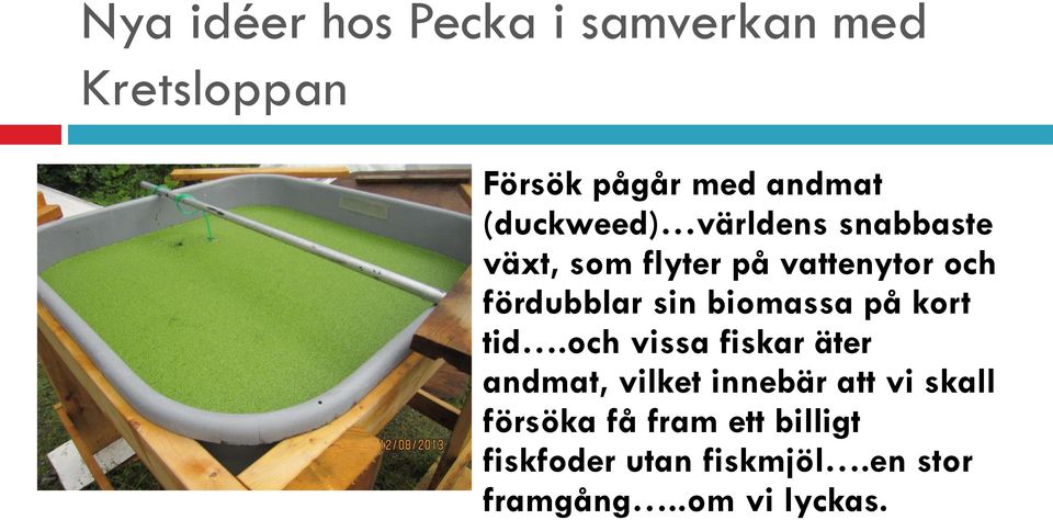 sin biomassa på kort tid.