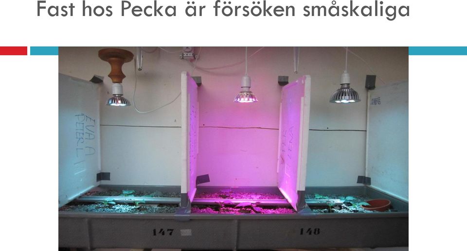 försöken