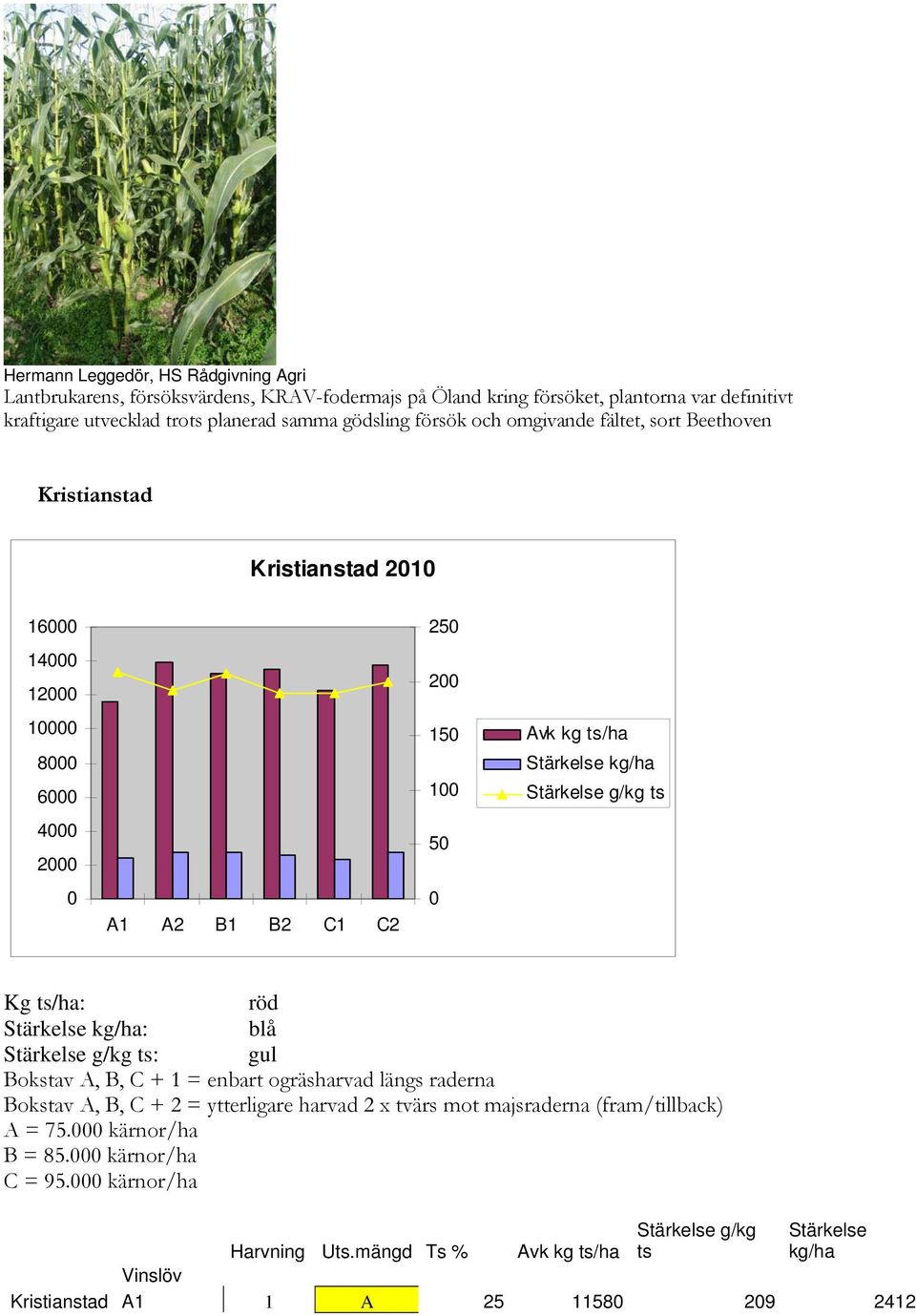Kg ts/ha: röd Stärkelse kg/ha: blå Stärkelse g/kg ts: gul Bokstav A, B, C + 1 = enbart ogräsharvad längs raderna Bokstav A, B, C + 2 = ytterligare harvad 2 x tvärs mot majsraderna