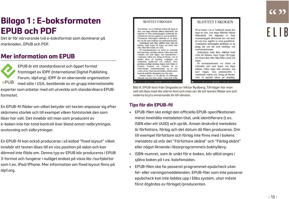 IDPF är en oberoende organisation med säte i USA, bestående av en grupp internationella experter som arbetar med att utveckla och standardisera EPUBformatet.