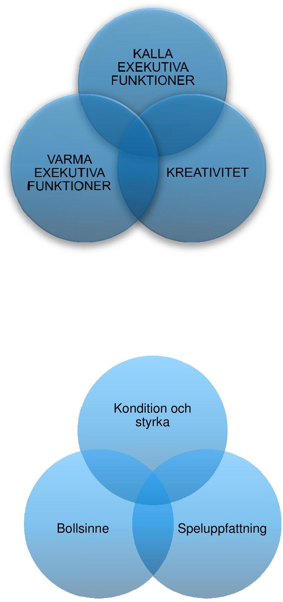 Bollsinne