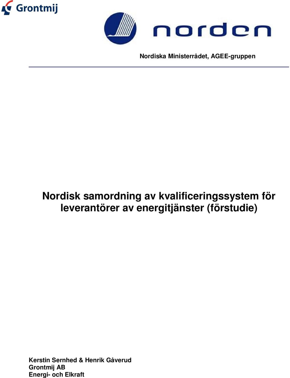 leverantörer av energitjänster (förstudie)