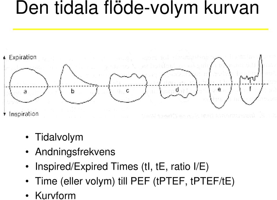 Inspired/Expired Times (ti, te, ratio