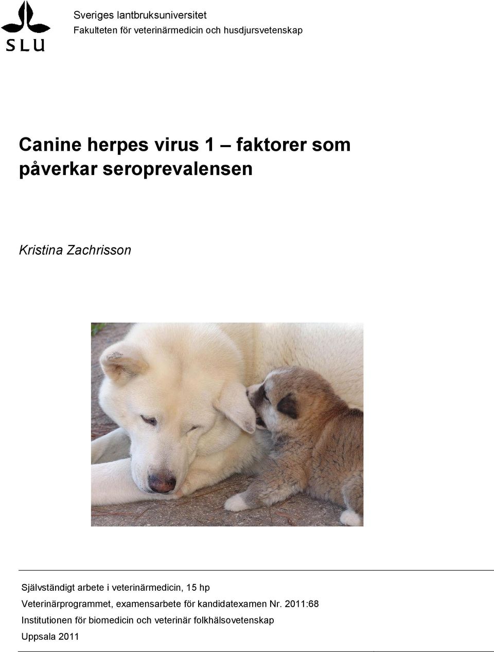 Självständigt arbete i veterinärmedicin, 15 hp Veterinärprogrammet, examensarbete för