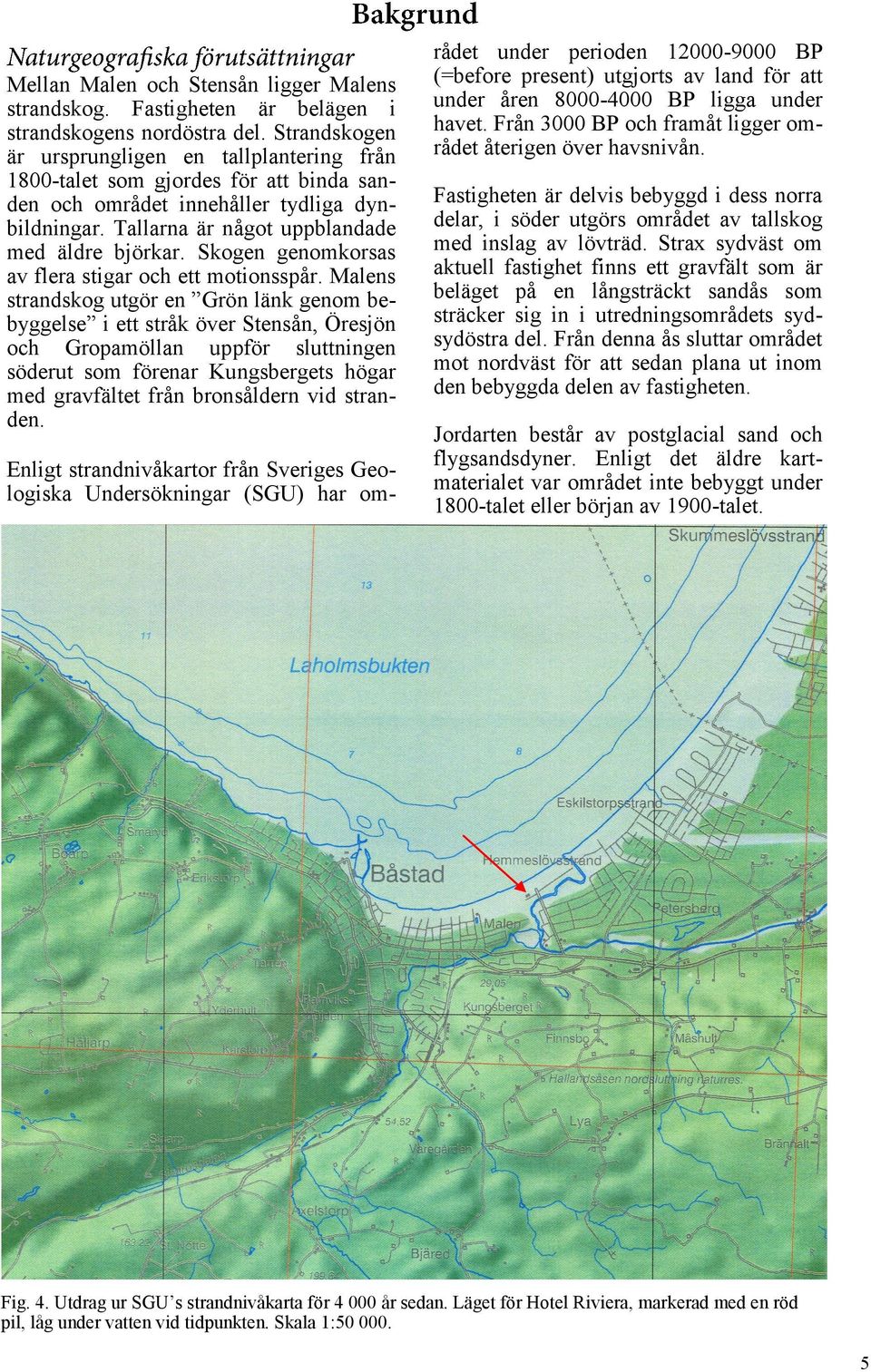 Skogen genomkorsas av flera stigar och ett motionsspår.