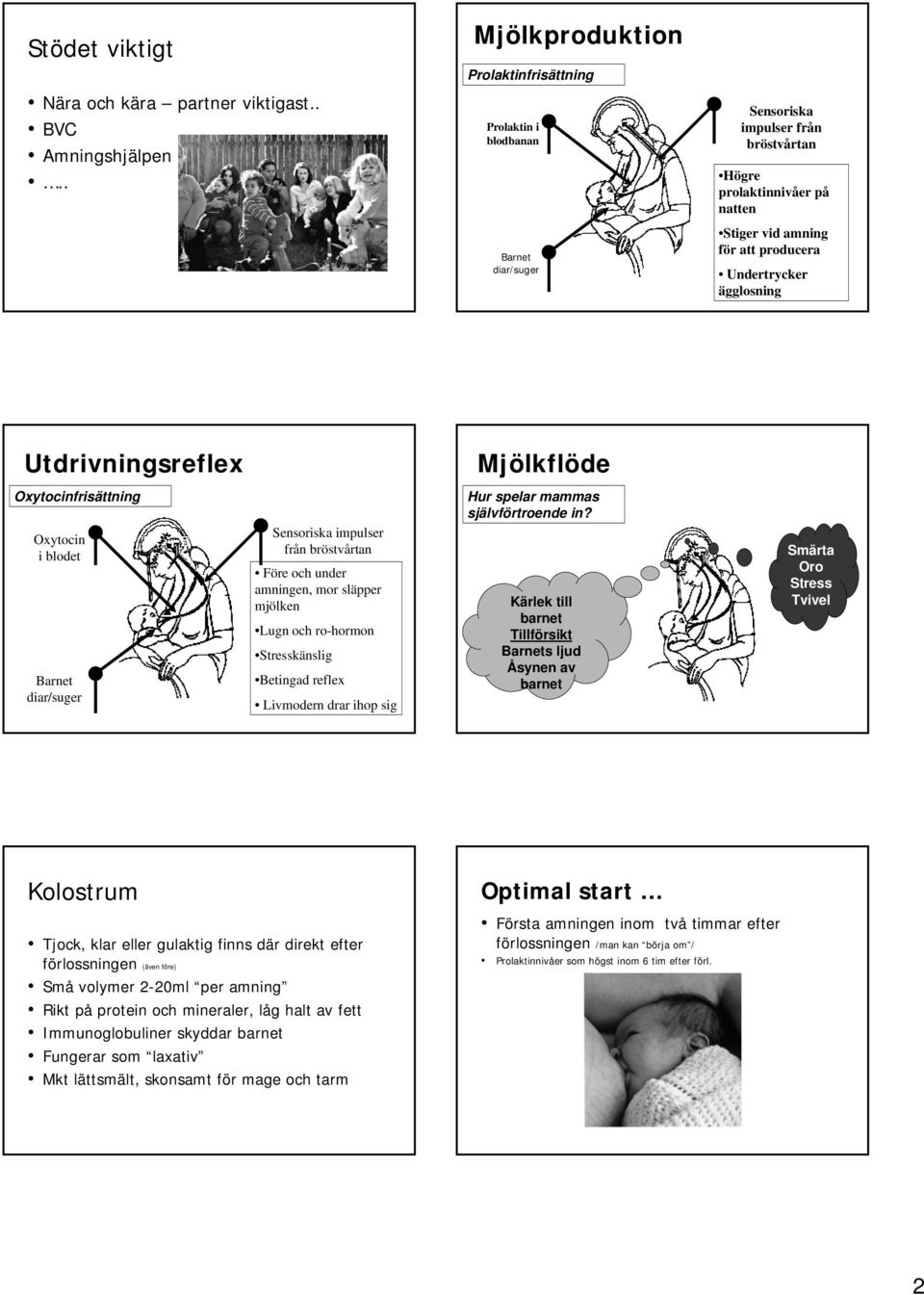 Undertrycker ägglosning Utdrivningsreflex Oxytocinfrisättning ttning Oxytocin i blodet Barnet diar/suger Sensoriska impulser från bröstvårtan Före och under amningen, mor släpper mjölken Lugn och