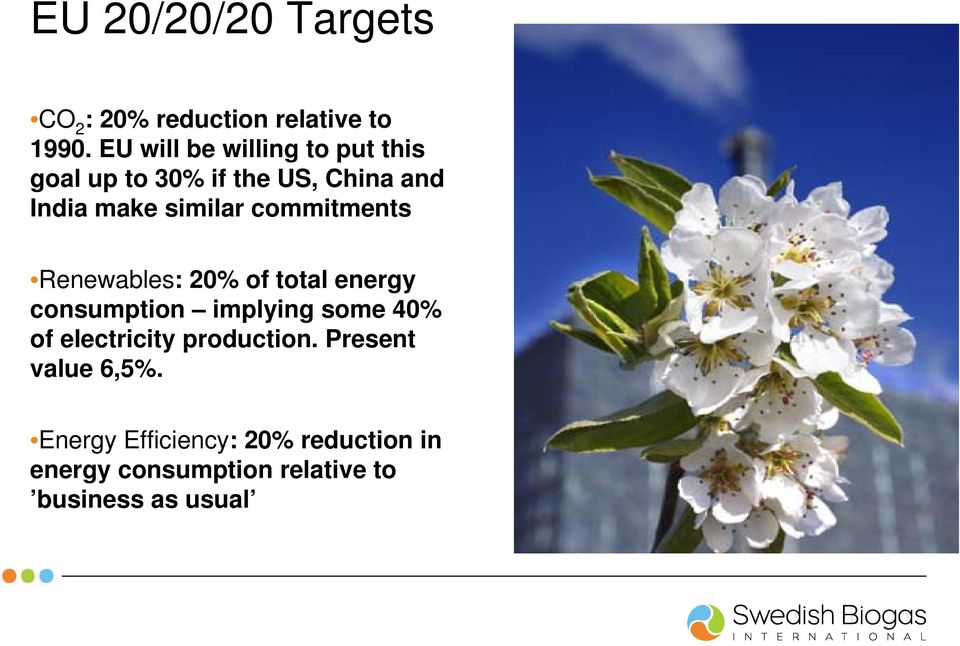 commitments Renewables: 20% of total energy consumption implying some 40% of