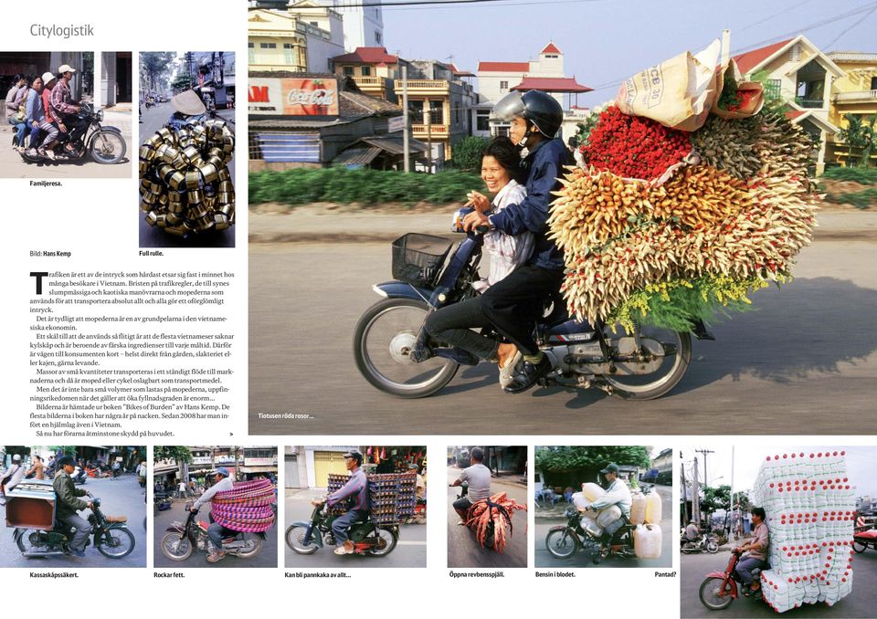 Det är tydligt att mopederna är en av grundpelarna i den vietnamesiska ekonomin.