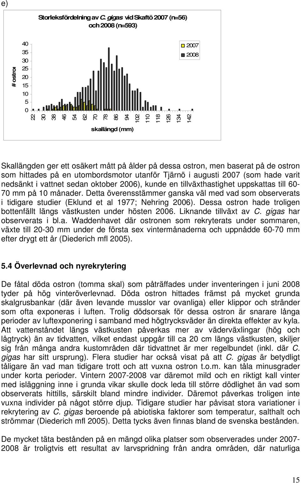 ålder på dessa ostron, men baserat på de ostron som hittades på en utombordsmotor utanför Tjärnö i augusti 2007 (som hade varit nedsänkt i vattnet sedan oktober 2006), kunde en tillväxthastighet