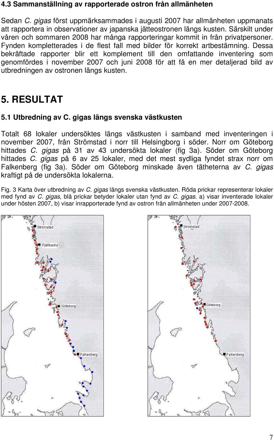 Särskilt under våren och sommaren 2008 har många rapporteringar kommit in från privatpersoner. Fynden kompletterades i de flest fall med bilder för korrekt artbestämning.