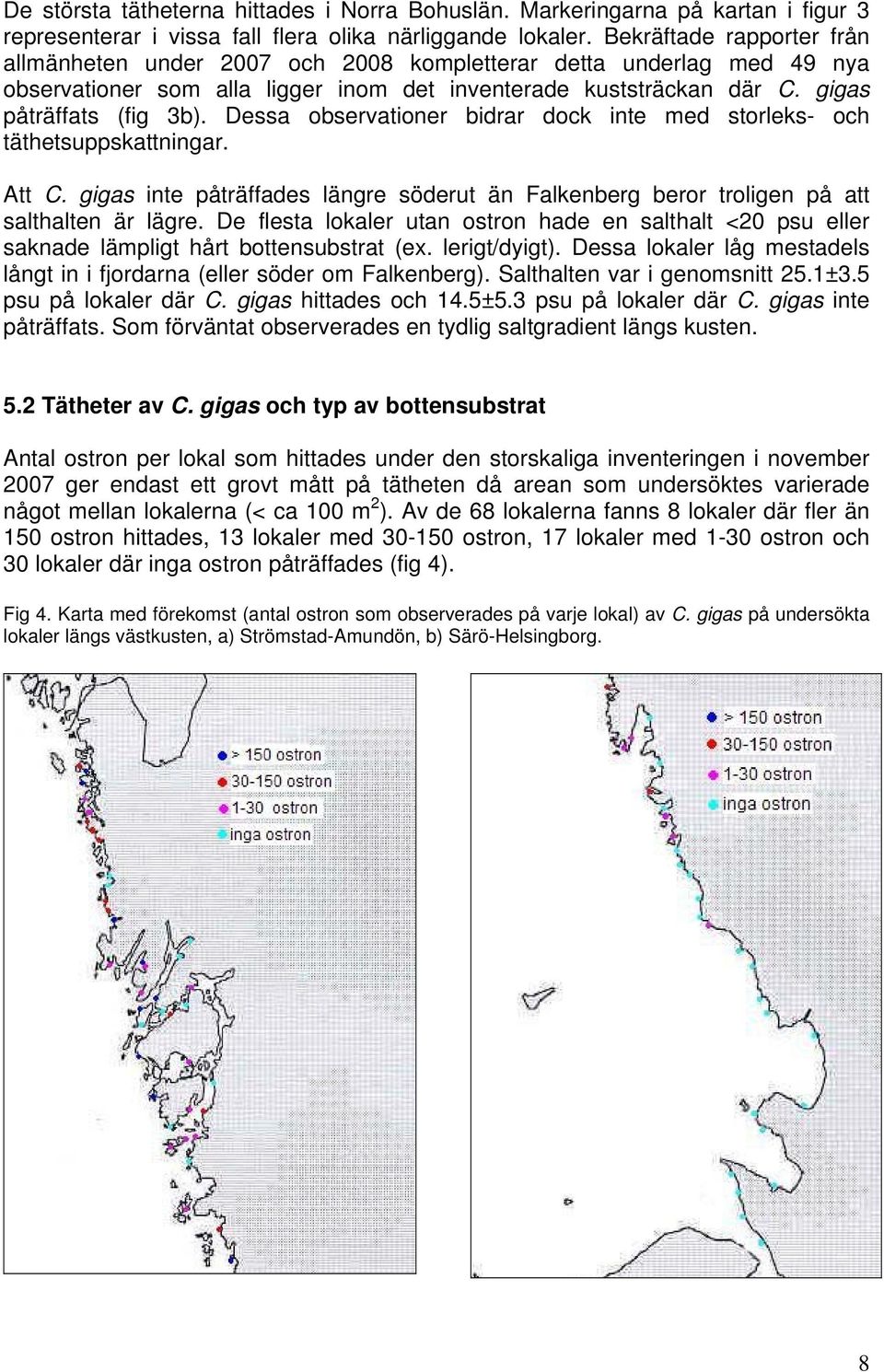 Dessa observationer bidrar dock inte med storleks- och täthetsuppskattningar. Att C. gigas inte påträffades längre söderut än Falkenberg beror troligen på att salthalten är lägre.
