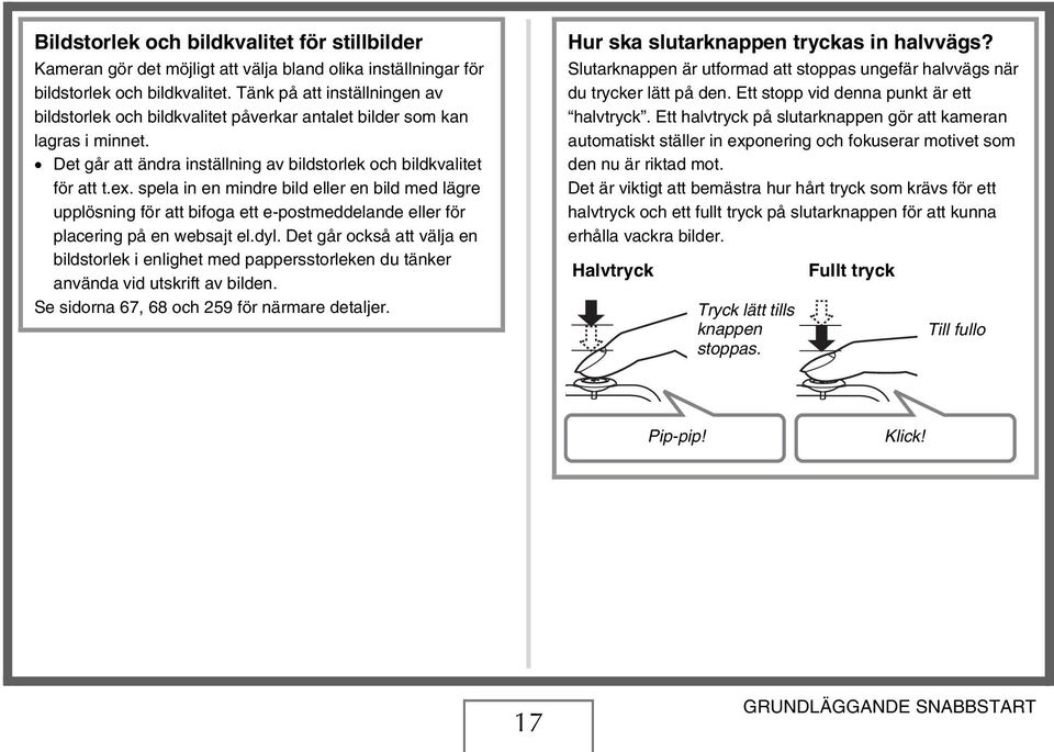 spela in en mindre bild eller en bild med lägre upplösning för att bifoga ett e-postmeddelande eller för placering på en websajt el.dyl.