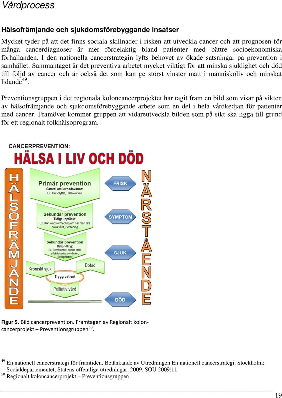 Sammantaget är det preventiva arbetet mycket viktigt för att minska sjuklighet och död till följd av cancer och är också det som kan ge störst vinster mätt i människoliv och minskat lidande 49.