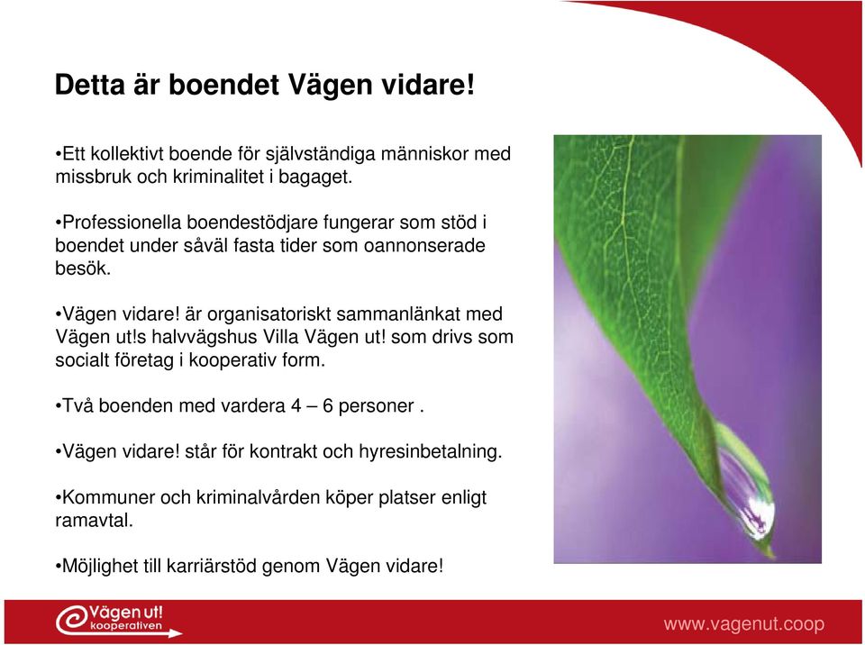 är organisatoriskt sammanlänkat med Vägen ut!s halvvägshus Villa Vägen ut! som drivs som socialt företag i kooperativ form.