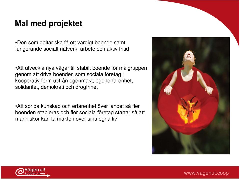 form utifrån egenmakt, egenerfarenhet, solidaritet, demokrati och drogfrihet Att sprida kunskap och erfarenhet över