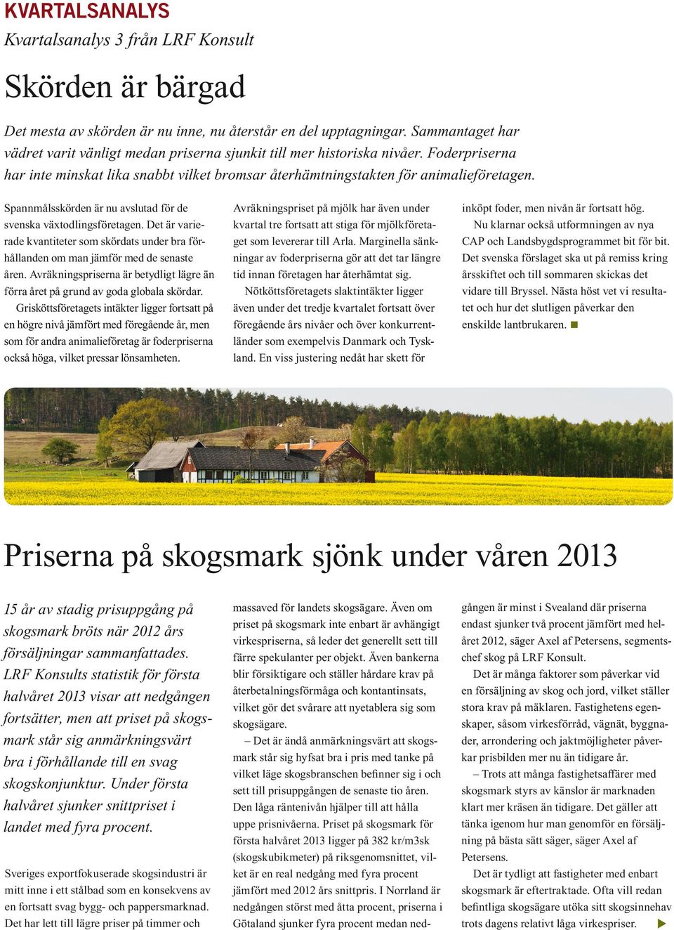 Spannmålsskörden är nu avslutad för de svenska växtodlingsföretagen. Det är varierade kvantiteter som skördats under bra förhållanden om man jämför med de senaste åren.