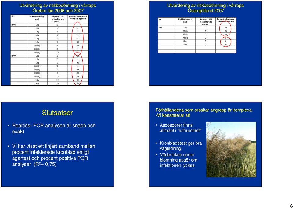 Östergötland 2007 Riskbedömning nivå Angrepp i fält % infekterade plantor Procent infekterade kronblad agartest 2007 Låg 0 0 Måttlig 0 30 Måttlig 0 6 Måttlig 0 2 Stor 0 6 Stor 0 4 Slutsatser