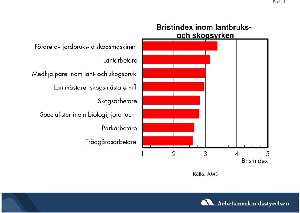 lant- och skogsbruk Lantmästare, skogsmästare mfl