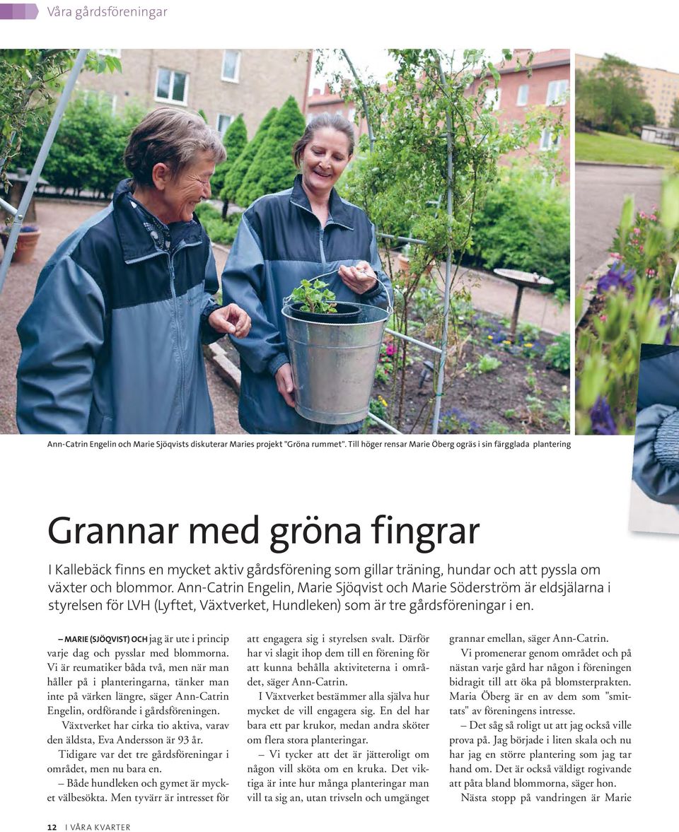 blommor. Ann-Catrin Engelin, Marie Sjöqvist och Marie Söderström är eldsjälarna i styrelsen för LVH (Lyftet, Växtverket, Hundleken) som är tre gårdsföreningar i en.