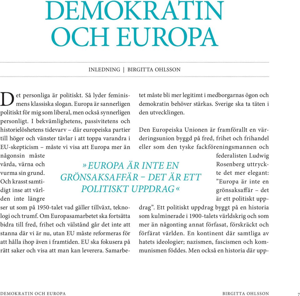 I bekvämlighetens, passivitetens och historielöshetens tidevarv där europeiska partier till höger och vänster tävlar i att toppa varandra i EU-skepticism måste vi visa att Europa mer än någonsin