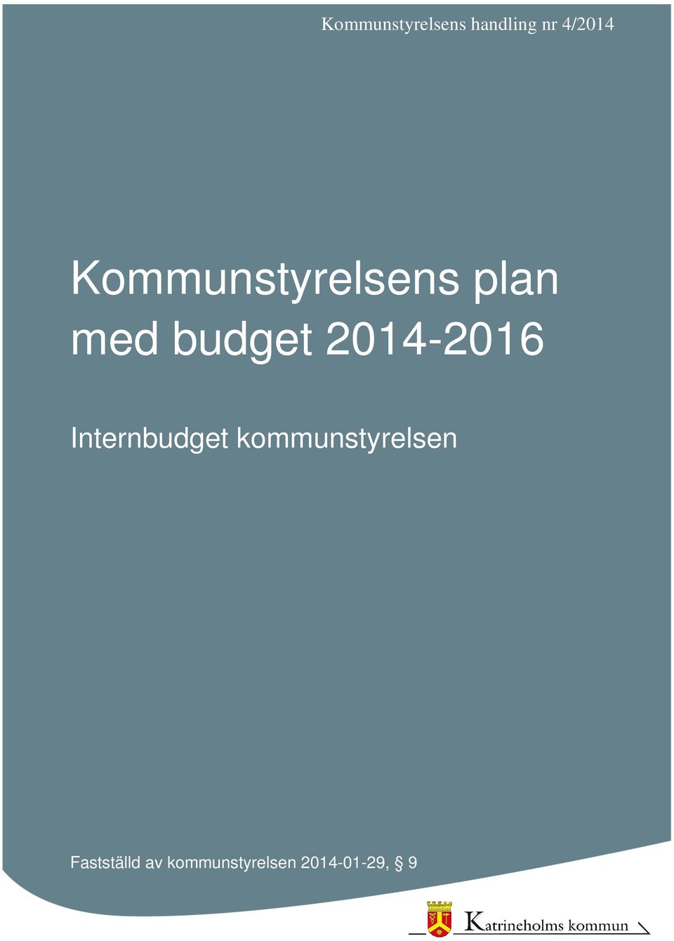 2014-2016 Internbudget