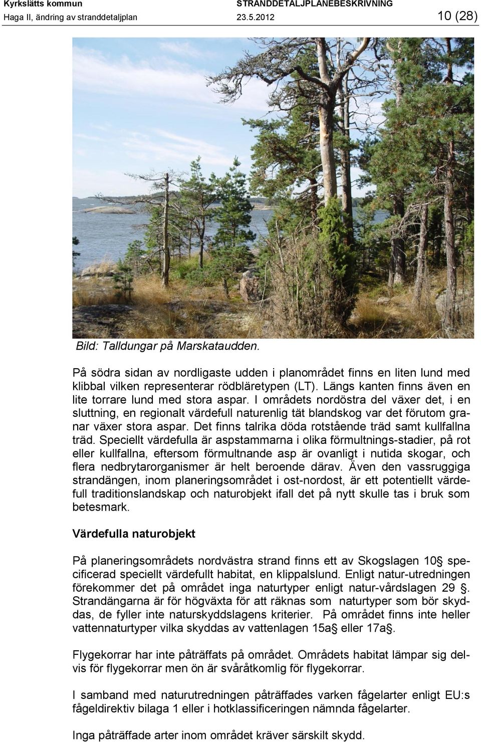 I områdets nordöstra del växer det, i en sluttning, en regionalt värdefull naturenlig tät blandskog var det förutom granar växer stora aspar.