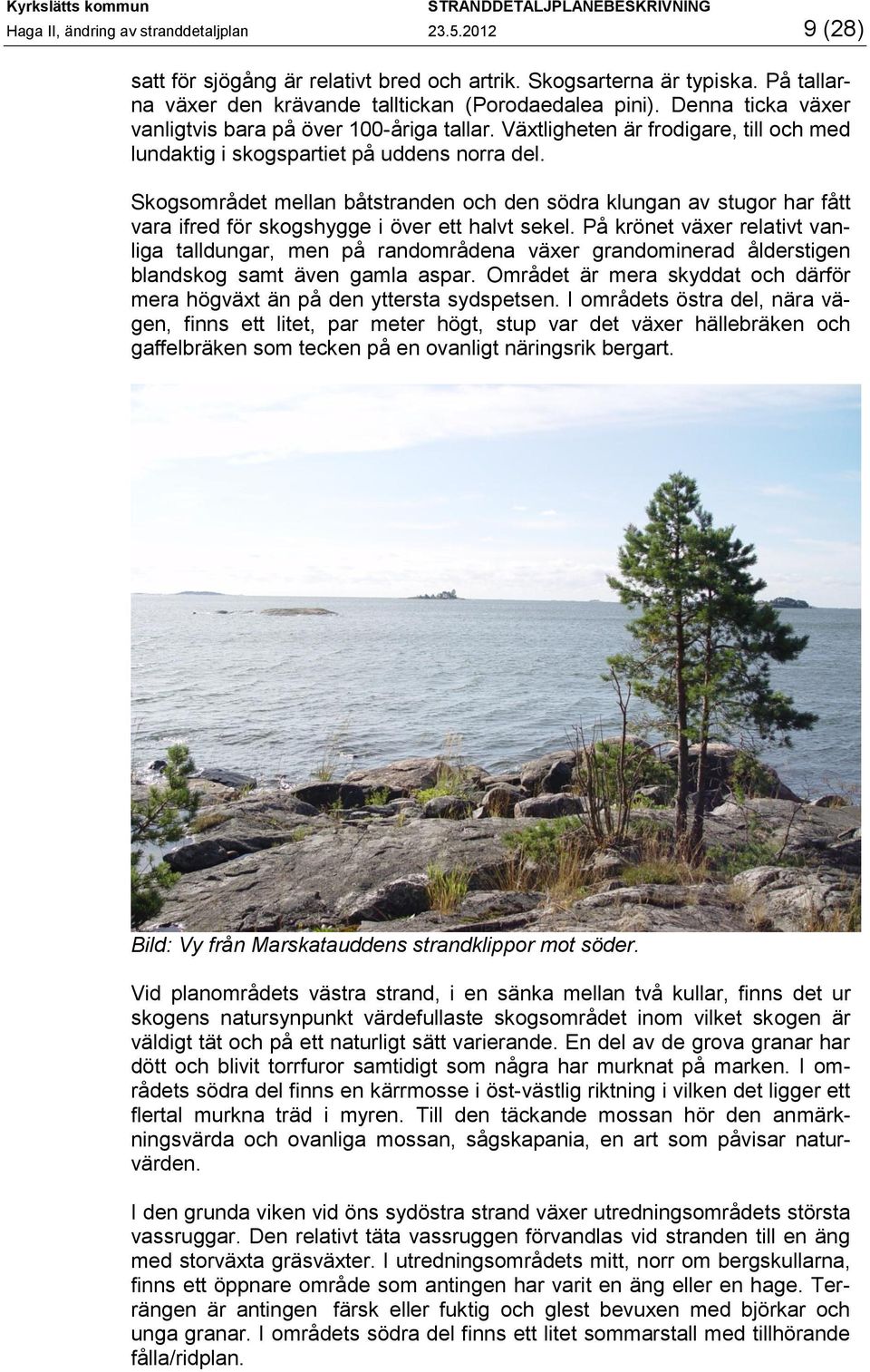 Skogsområdet mellan båtstranden och den södra klungan av stugor har fått vara ifred för skogshygge i över ett halvt sekel.