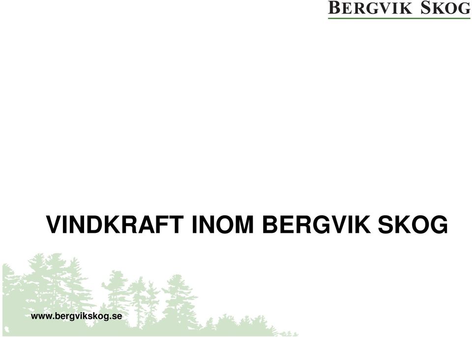 BERGVIK