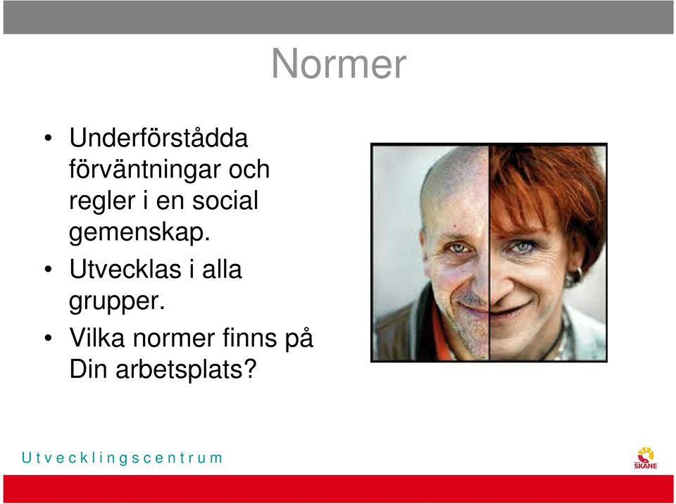 social gemenskap.