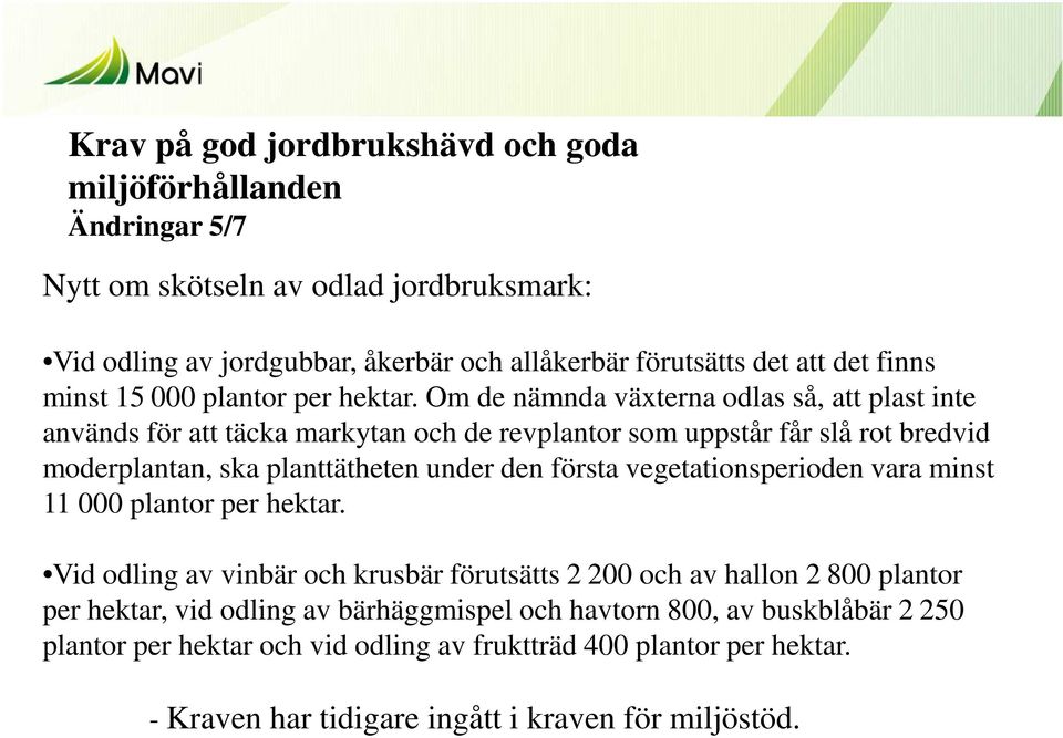 Om de nämnda växterna odlas så, att plast inte används för att täcka markytan och de revplantor som uppstår får slå rot bredvid moderplantan, ska planttätheten under den första