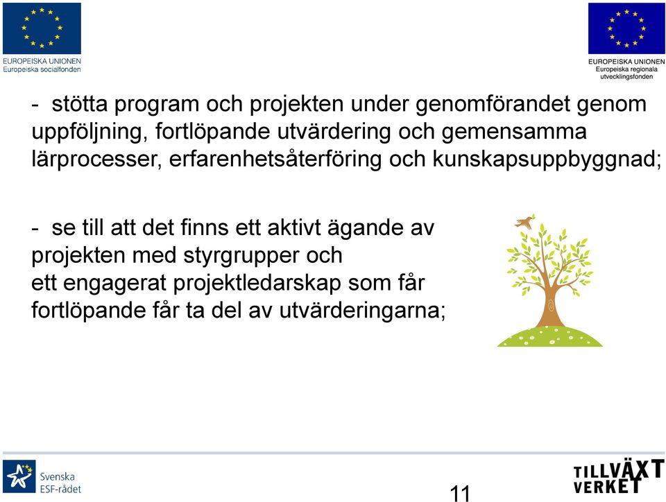 kunskapsuppbyggnad; - se till att det finns ett aktivt ägande av projekten med