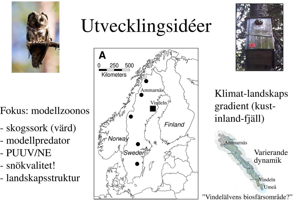 - landskapsstruktur Ammarnäs Vindeln Finland Norway Sweden