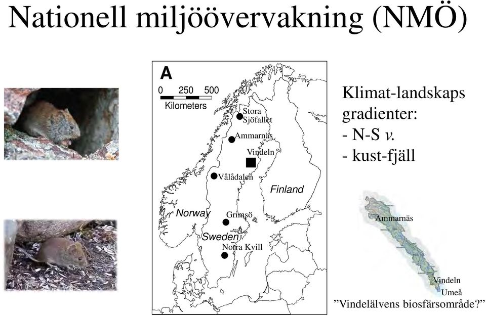 Klimat-landskaps gradienter: - N-S v.