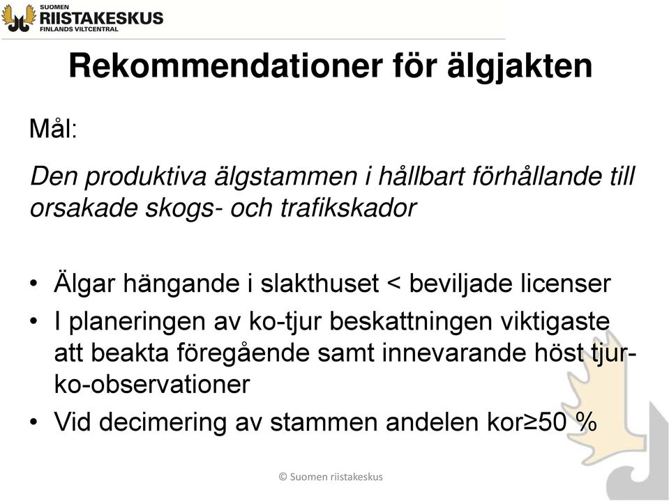 beviljade licenser I planeringen av ko-tjur beskattningen viktigaste att beakta