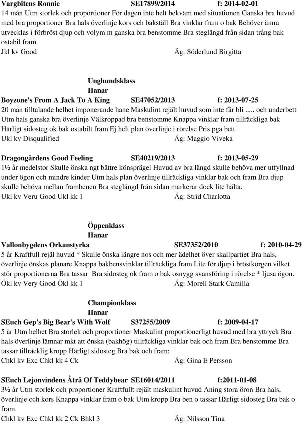 Jkl kv Good Äg: Söderlund Birgitta Unghundsklass Boyzone's From A Jack To A King SE47052/2013 f: 2013-07-25 20 mån tilltalande helhet imponerande hane Maskulint rejält huvud som inte får bli.