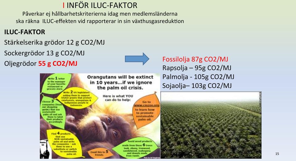 ILUC#FAKTOR* Stärkelserika!grödor!12!g!CO2/MJ! Sockergrödor!13!g!CO2/MJ! Oljegrödor!